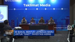 Video: 