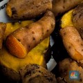 3 Makanan Ini Pantang Dikonsumsi Bersama Singkong Rebus