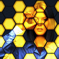 DJP Raup Rp32,32 T dari Setoran Pajak Kripto-Fintech di 2020-2024