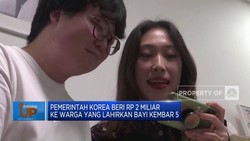 Video: Pemerintah Korea Beri Rp 2 M ke Orangtua Bayi Kembar 5