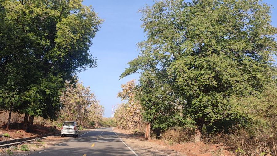 Pohon sinyal dekat wilayah Oepoli Kab Kupang, NTT