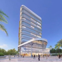 Profil Delonix Group, Sosok Dibalik Investor China yang Masuk IKN