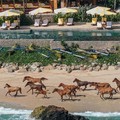 Nihi Sumba Masuk Daftar Hotel Terbaik Dunia, Berapa Harga Nginapnya?