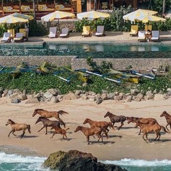 Nihi Sumba Masuk Daftar Hotel Terbaik Dunia, Berapa Harga Nginapnya?