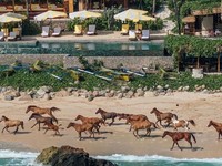 Nihi Sumba Masuk Daftar Hotel Terbaik Dunia, Berapa Harga Nginapnya?