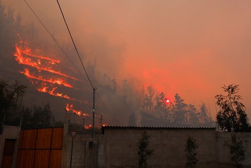 Seorang agen transit mengendarai sepeda motor saat kebakaran hutan melanda, di Quito, Ekuador, 24 September 2024. (REUTERS/Karen Toro)