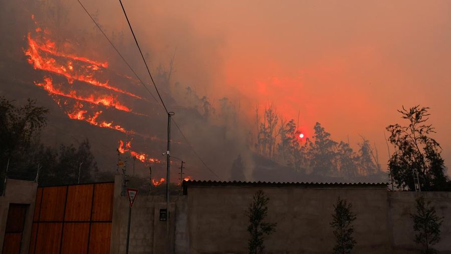 Seorang agen transit mengendarai sepeda motor saat kebakaran hutan melanda, di Quito, Ekuador, 24 September 2024. (REUTERS/Karen Toro)