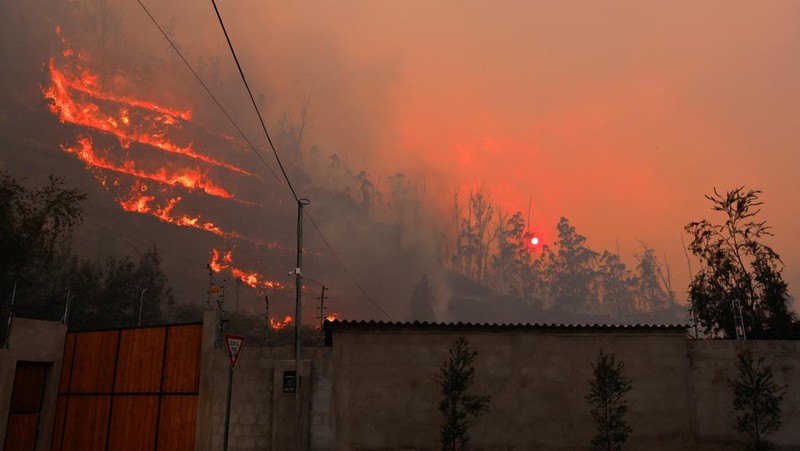 Seorang agen transit mengendarai sepeda motor saat kebakaran hutan melanda, di Quito, Ekuador, 24 September 2024. (REUTERS/Karen Toro)