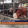 Video: Beras RI Termahal Hingga Raksasa Printer Mau PHK 2.000 Pegawai