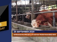 Video: Beras RI Termahal Hingga Raksasa Printer Mau PHK 2.000 Pegawai