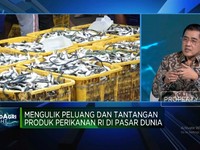 Video: KKP Soal RI Negara Maritim Tapi Masih Impor Kepiting & Rajungan
