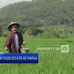 Video : Prabowo Pindahkan Food Estate ke Papua