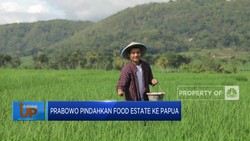 Video : Prabowo Pindahkan Food Estate ke Papua