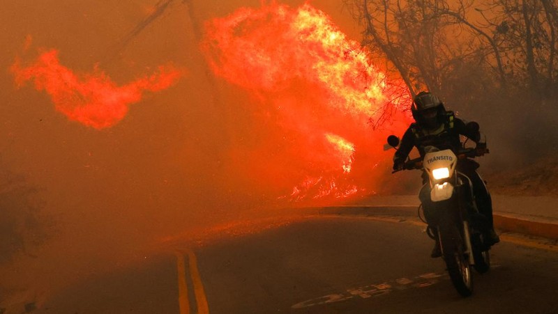 Seorang agen transit mengendarai sepeda motor saat kebakaran hutan melanda, di Quito, Ekuador, 24 September 2024. (REUTERS/Karen Toro)