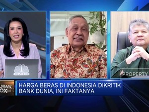  Harga Beras di Indonesia Dikritik Bank Dunia, Ini Faktanya!