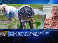 Video: Harga Beras Naik, Ini Harapan Pengusaha