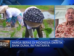 Video: Harga Beras Naik, Ini Harapan Pengusaha