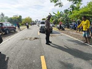 Kecelakaan Honda Brio-Motor Scoopy di Luwu, 2 Orang Tewas Terlindas