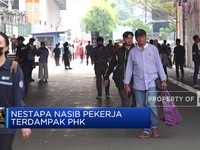 Video : Nestapa Nasib Pekerja Terdampak PHK