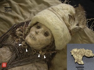 Wow! Keju Tertua di Dunia Ditemukan, Jadi Olesan Mumi di China
