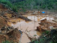 Tambang Ilegal Makan Korban Nyawa, Ditjen Gakkum ESDM Penting Terwujud