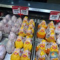 Dear Bunda, Transmart Ada Diskon 50%+20%! Harga Ayam Cuma Segini