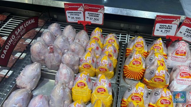 Dear Bunda, Transmart Gelar Diskon 50%+20%! Harga Ayam Cuma Segini