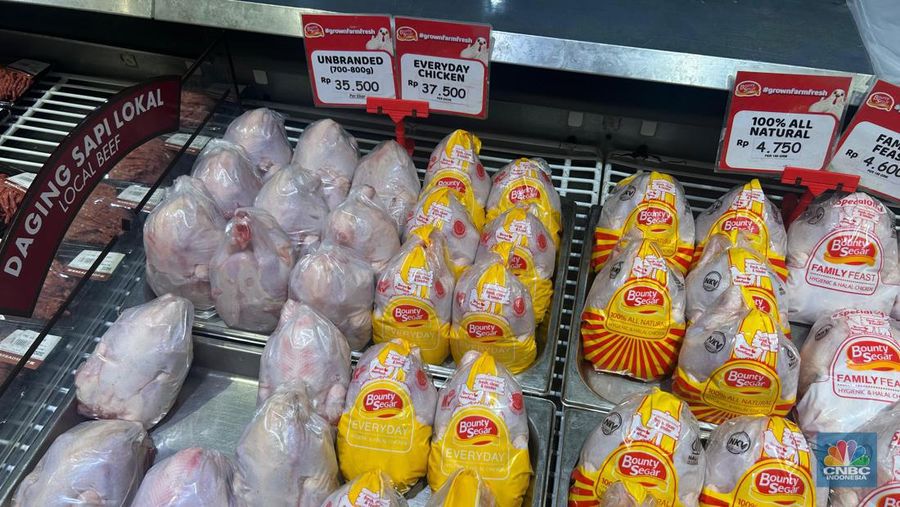 Ayam Broiler di Transmart Kota Kasablanka pada Minggu, 29 September 2024 Rp35.500 diskon jadi Rp28.400 (minimal belanja Rp 300.000 di Transmart. (²©²ÊÍøÕ¾/Elga)