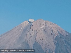 Gunung Semeru Erupsi 15 Kali Dalam Sehari, Ketinggian Letusan 400-500 M