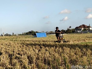 Tekan Alih Fungsi Lahan, Pembeli Tanah di Kapal Wajib Jadi Krama Adat