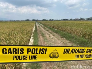 Mayat Pria Tanpa Identitas Bersimbah Darah Ditemukan di Sawah Banjarnegara