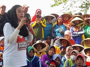 Cabup Mitha Teken Kontrak Borong Bawang Petani Brebes Saat Harga Jatuh