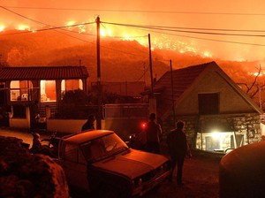 Peneliti Ciptakan Gel Bangunan Antikebakaran Hutan