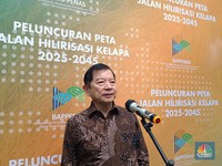 Menteri Jokowi Ungkap Fakta Mengejutkan Kelapa RI, Terancam Kalah Lagi