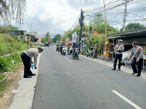 Bule Prancis Potong Jalan, Pemotor di Buleleng Tewas