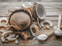 RI Terkapar! Negara Ini Jadi Raja Kelapa ASEAN, Cuan Tembus Triliunan