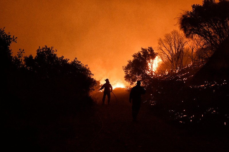 Seorang petugas pemadam kebakaran berusaha memadamkan kebakaran hutan yang terjadi di dekat desa Kallithea, dekat Korintus, Yunani, Senin (30/9/2024). (REUTERS/Vassilis Psomas) Seorang petugas pemadam kebakaran berusaha memadamkan kebakaran hutan yang terjadi di dekat desa Kallithea, dekat Korintus, Yunani, Senin (30/9/2024). (REUTERS/Vassilis Psomas)