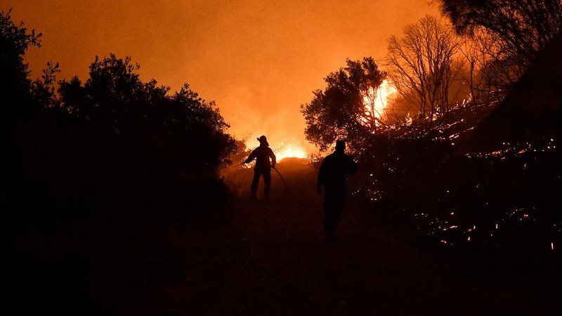 Seorang petugas pemadam kebakaran berusaha memadamkan kebakaran hutan yang terjadi di dekat desa Kallithea, dekat Korintus, Yunani, Senin (30/9/2024). (REUTERS/Vassilis Psomas)