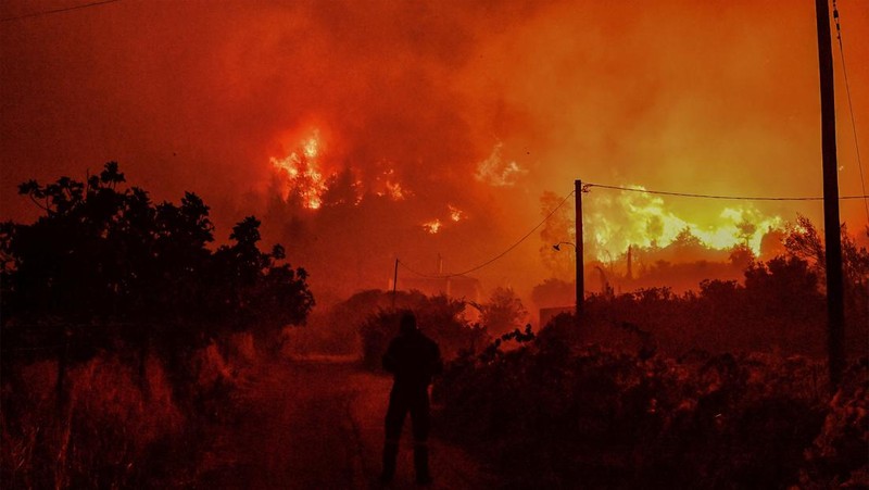 Seorang petugas pemadam kebakaran berusaha memadamkan kebakaran hutan yang terjadi di dekat desa Kallithea, dekat Korintus, Yunani, Senin (30/9/2024). (REUTERS/Vassilis Psomas)