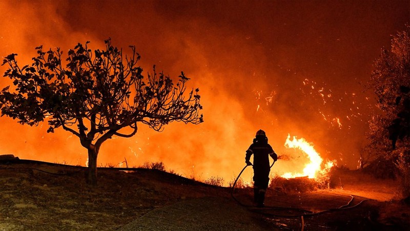 Seorang petugas pemadam kebakaran berusaha memadamkan kebakaran hutan yang terjadi di dekat desa Kallithea, dekat Korintus, Yunani, Senin (30/9/2024). (REUTERS/Vassilis Psomas)