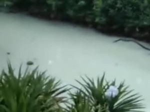Sungai di Morowali Diduga Tercemar Limbah dari Persuhaan, DLH Selidiki