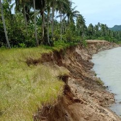 Tanda Kiamat Ancam Sumber Air Raksasa RI Setara 48,5 Triliun Gelas