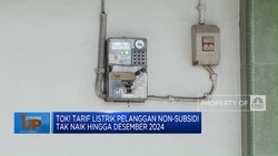 Video: Tarif Listrik Non-Subsidi Tak Naik Hingga Desember 2024