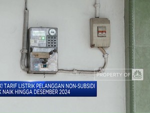 Video: Tarif Listrik Non-Subsidi Tak Naik Hingga Desember 2024