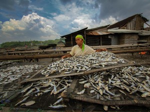 Fokus Berdayakan UMKM, BRI Jadi Salah Satu BUMN dengan Capain ESG Terbaik