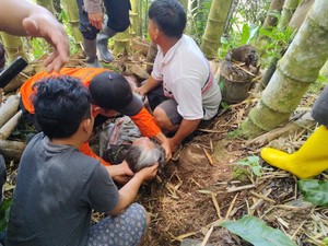 Wanita Lansia 3 Hari Hilang di Hutan Toraja Utara Ditemukan Selamat