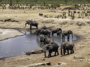 Zimbabwe Makin Mesra dengan Rusia, Segera Terapkan Bebas Visa