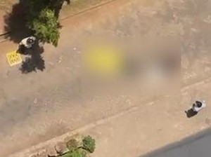 Petra Buka Suara soal Mahasiswa Tewas Diduga Lompat dari Gedung Kampus