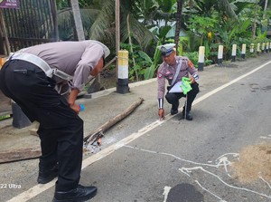 2 Pemuda Boncengan Motor di Banggai Tewas Usai Tabrak Truk Parkir