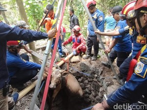 Detik-detik Sapi Milik Warga Manisrenggo Kabur Lalu Nyemplung Sumur 7 Meter